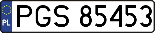 PGS85453