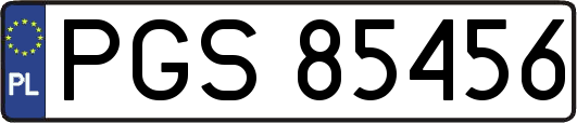 PGS85456