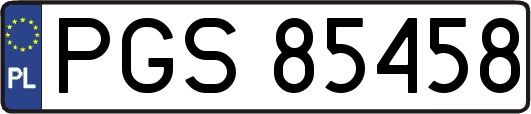 PGS85458