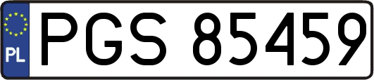 PGS85459