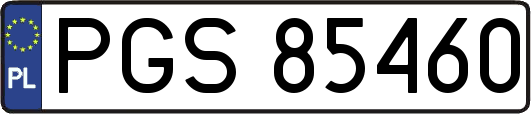 PGS85460