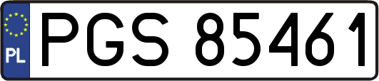 PGS85461