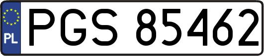 PGS85462