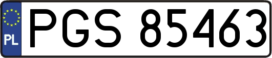 PGS85463