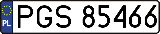 PGS85466