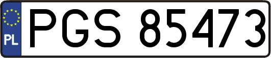 PGS85473