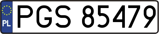 PGS85479