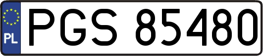 PGS85480