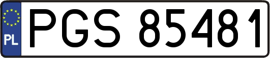 PGS85481