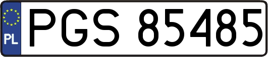PGS85485