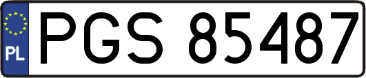 PGS85487