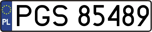 PGS85489