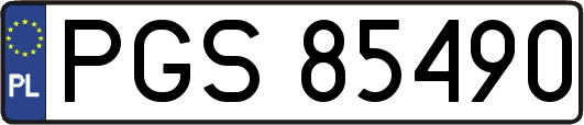 PGS85490