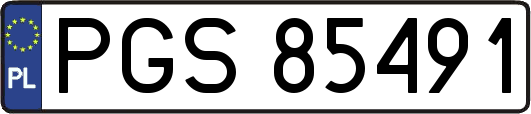 PGS85491