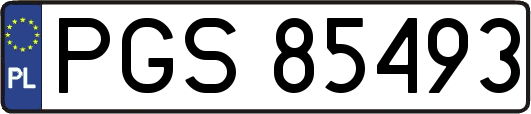 PGS85493