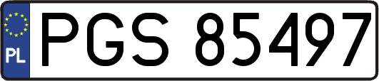 PGS85497