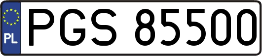 PGS85500