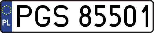 PGS85501