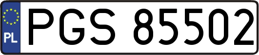 PGS85502
