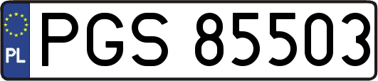 PGS85503