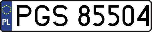 PGS85504