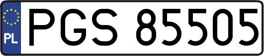 PGS85505