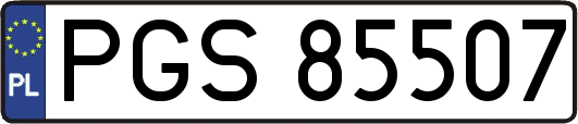 PGS85507