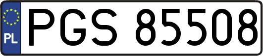 PGS85508