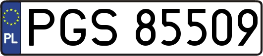 PGS85509