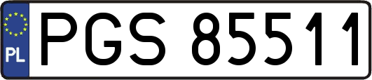 PGS85511