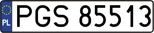 PGS85513