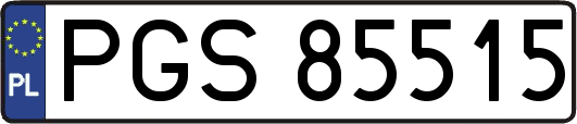 PGS85515