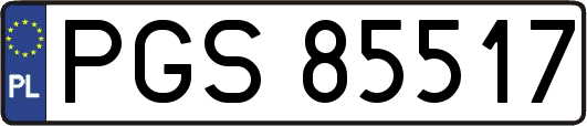 PGS85517