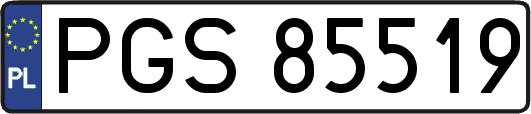 PGS85519
