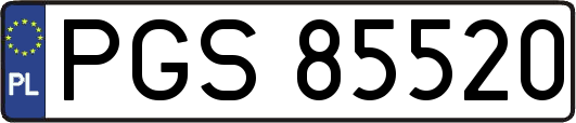 PGS85520