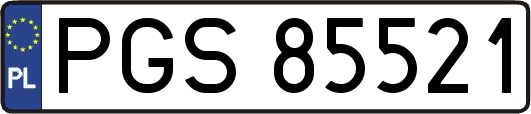 PGS85521