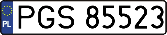 PGS85523