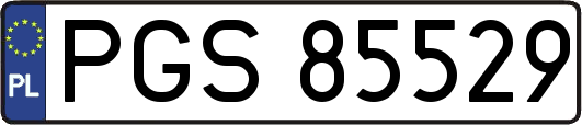 PGS85529