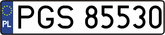 PGS85530