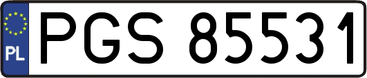 PGS85531