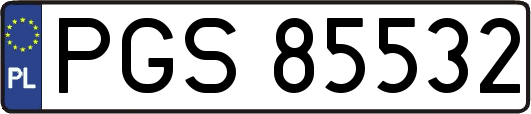 PGS85532