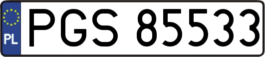 PGS85533