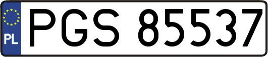 PGS85537