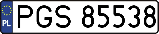 PGS85538