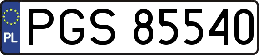 PGS85540