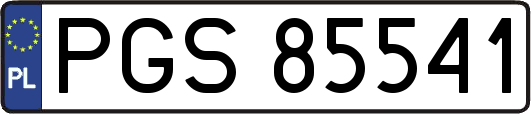 PGS85541