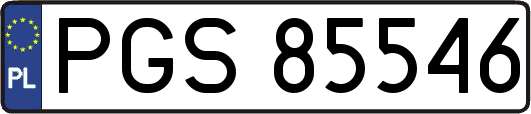 PGS85546