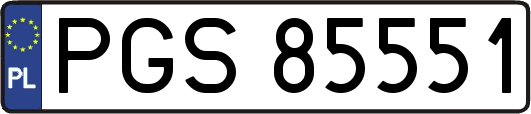 PGS85551