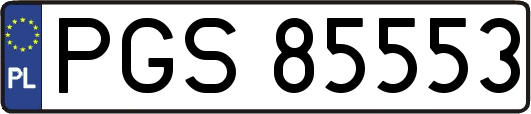 PGS85553