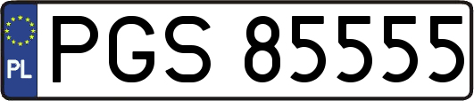 PGS85555